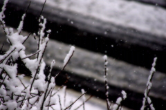 2012/01/20
