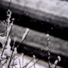 2012/01/20
