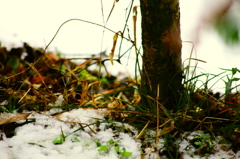 2012/01/20