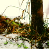 2012/01/20
