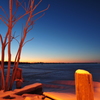 Dawn