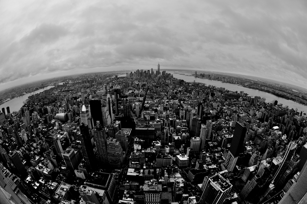 Fisheye from Empire State Building I