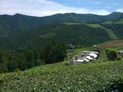 川根本町