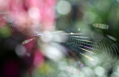 アート華やかに　
