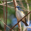 DSC09275
