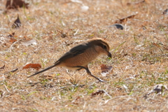 DSC05190