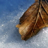 DSC03381
