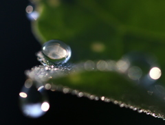 水滴