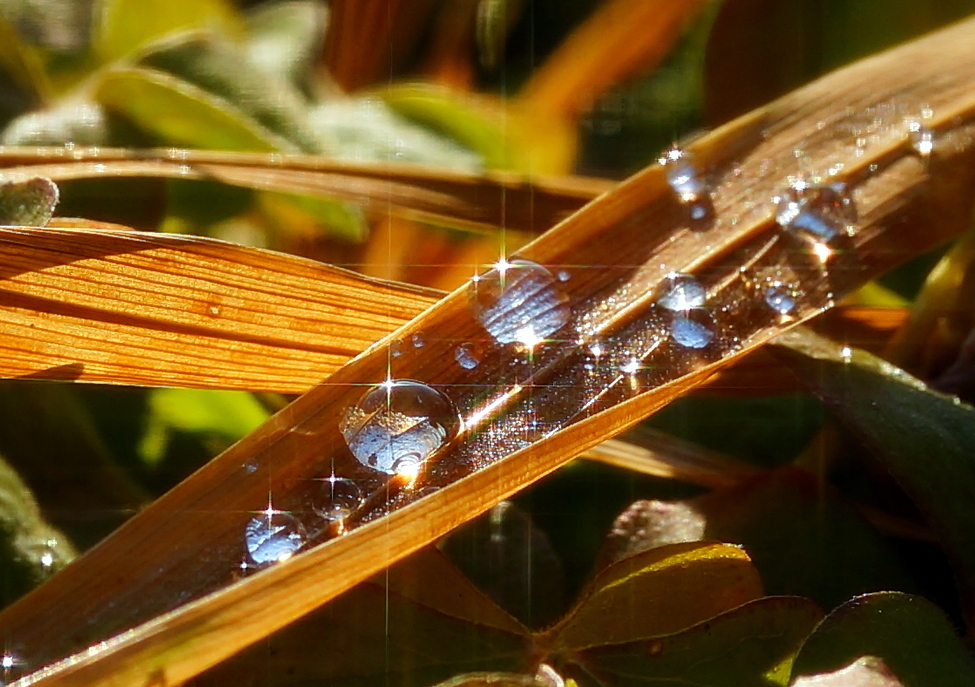 DSC03306