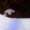 DSC03377