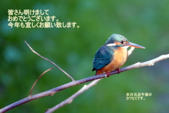 明けましておめでとうございます。