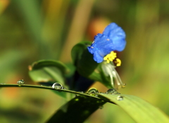 DSC07650