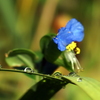 DSC07650
