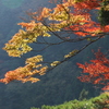 阿附利神社より