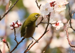 踏ん張って