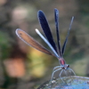DSC08860