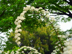 DSC05249