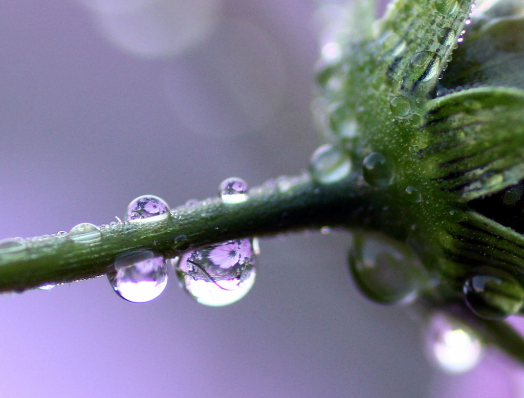 優しく閉じ込めて