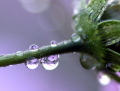 優しく閉じ込めて