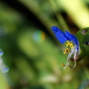 DSC07611