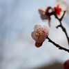 DSC03601