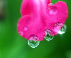 IMG_6893 IMG_6893