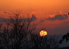 IMG_8868 IMG_8868