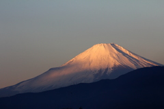 元旦の富士山