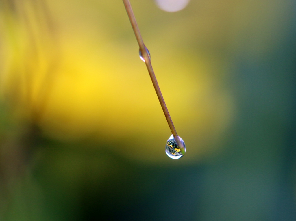 ひと雫