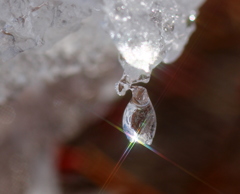 雪雫