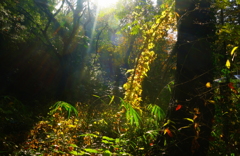 DSC02948 DSC02948