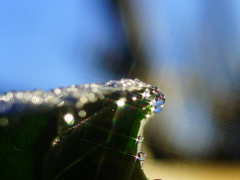 DSC02568