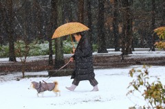 雪中散歩