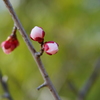DSC03584