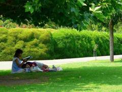 グリーン　2010年