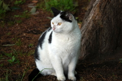DSC05921