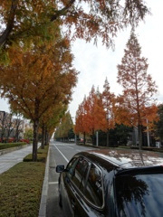 Pavement