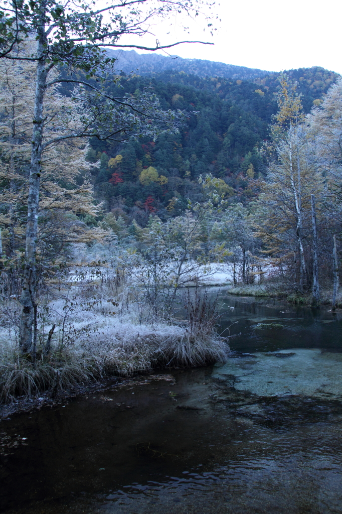 田代池