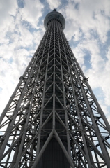 sky tree