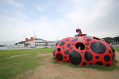 離島で巨大化した果実