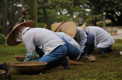 兼六園にて