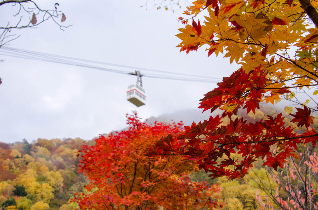 紅葉の新穂高ロープウエィ