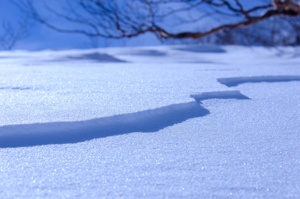 青い雪の世界