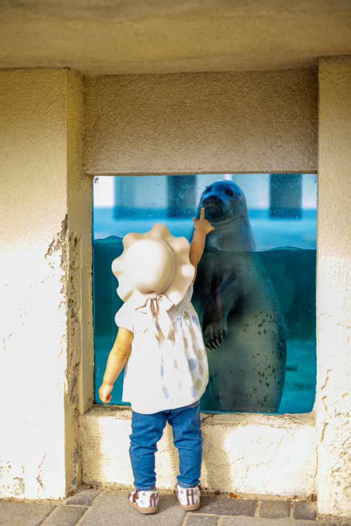 渋川マリン水族館