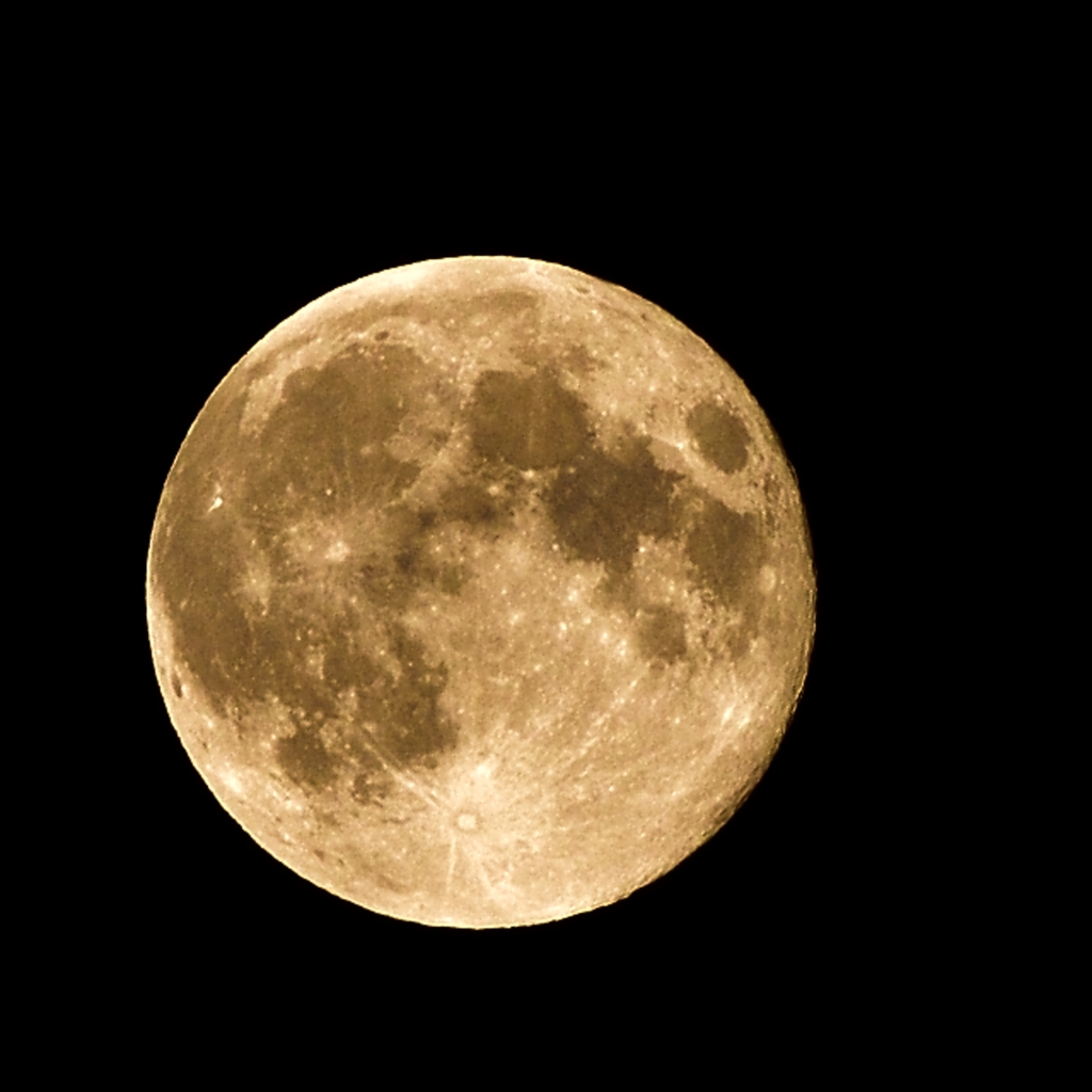 十六夜