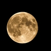 十六夜