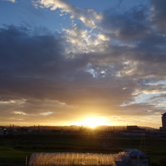 DSC00324