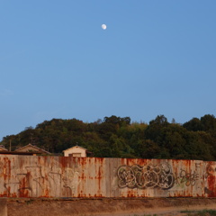 DSC00245