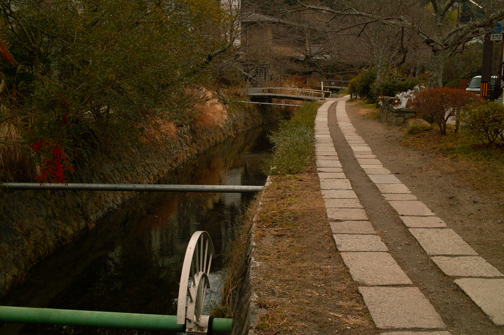 SDIM0282