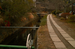 SDIM0282